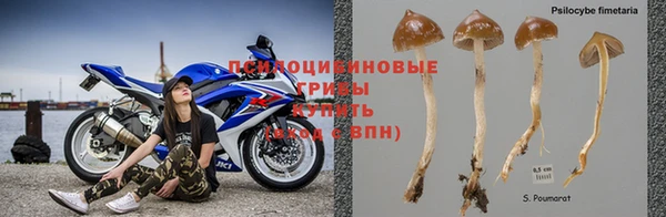 кокс Гусиноозёрск