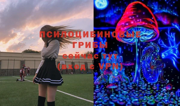 spice Гусев