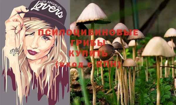 a pvp Горняк