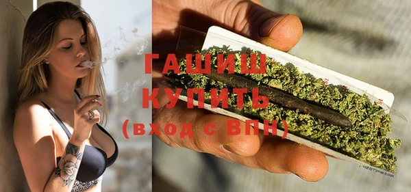 spice Гусев