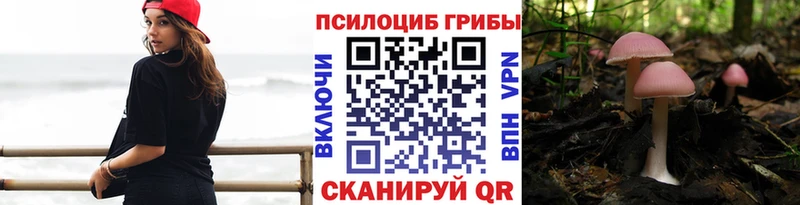Псилоцибиновые грибы Psilocybe  Москва 
